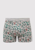 Kaktüs Desenli Gri Boxer 091122-23854