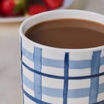 Karaca Alize Kareli Mug 390 Ml