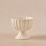 Karaca Daisy Dondurmalık 9,5 cm