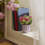 Karaca Home Rocco Saksılı Yapay Bitki Yeşil 9x9x8.5 cm