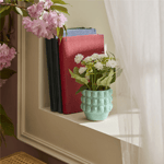 Karaca Home Rocco Saksılı Yapay Bitki Yeşil 9x9x8.5 cm