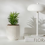 Karaca Home Serena Saksılı Yapay Bitki Beyaz 12X12X18 Cm