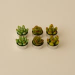 Karaca Home Sukulent 6'lı Tealight Mum