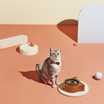 Karaca Home X Pati Billy Kırmızı Kedi Çıngıraklı Papyon Tasma