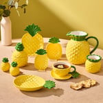 Karaca Pineapple Tuzluk Biberlik