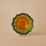 Karaca Sukulent Çerezlik 10 cm