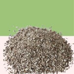 Karahindiba Kökü 50 gr | Haven Herbs & Blends | Bitki Çayı