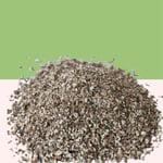 Karahindiba Kökü 50 gr | Haven Herbs & Blends | Bitki Çayı