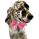 KEDİ VE KÖPEKLER İÇİN PAPYON PEMBE PEMBE 1