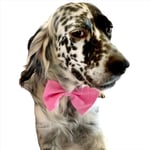 KEDİ VE KÖPEKLER İÇİN PAPYON PEMBE PEMBE 1