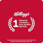 Kellogg's Çikolata Parçacıklı&Fındıklı Granola 340 Gr x 3 Adet,%44 Yulaf içerir,Lif Kaynağı