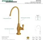 Kingston Brass KS3197AL 1/4 Turn Su Filtrasyon Musluk, Fırçalanmış Pirinç