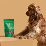 Kito Dana Akciğer Küp Atıştırmalık Köpek Ödül Maması%100 Doğal, Glutensiz, Organik 100 gr (Dog Treat)