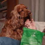 Kito Dana Akciğer Küp Atıştırmalık Köpek Ödül Maması%100 Doğal, Glutensiz, Organik 100 gr (Dog Treat)