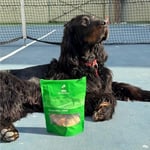 Kito Dana Gırtlak Çiğnemelik Köpek Ödül Maması%100 Doğal, Glutensiz, Organik 100 gr (Dog Treat)