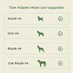 Kito Dana İnce Sinir Çiğnemelik Köpek Ödül Maması %100 Doğal, Glutensiz, Organik 100 gr