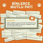 Kito Freeze Dried Somon Köpek Ödül Maması%100 Doğal, Glutensiz 30 gr(Dog Treat)