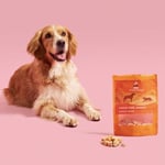 Kito Freeze Dried Somon Köpek Ödül Maması%100 Doğal, Glutensiz 30 gr(Dog Treat)