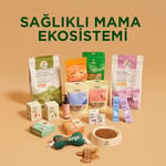 Kito Freeze Dried Tavuk Göğüs Kedi ve Köpek Ödül Maması%100 Doğal, Glutensiz 30 gr(Cat&Dog Treat)