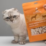 Kito Freeze Dried Tavuk Göğüs Kedi ve Köpek Ödül Maması%100 Doğal, Glutensiz 30 gr(Cat&Dog Treat)