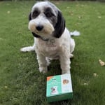 Kito Fresh Dana Etli Köpek Yemeği%100 Taze İçerikli Mama 250 gr (4 paketi)