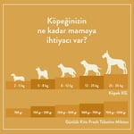 Kito Fresh Hindi Etli Köpek Yemeği%100 Taze İçerikli Mama 250 gr (4 paketi)