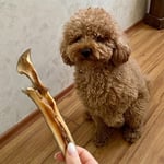 Kito Kurutulmuş Dana Kelle Derisi Çiğnemelik Köpek Ödül Maması%100 Doğal, Glutensiz, Organik 100 gr (Dog Treat)