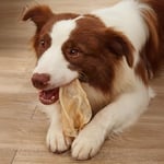 Kito Kurutulmuş Dana Kulak Çiğnemelik Köpek Ödül Maması%100 Doğal, Glutensiz, Organik 100 gr (Dog Treat)