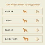 Kito Kurutulmuş Dana Kulak Çiğnemelik Köpek Ödül Maması%100 Doğal, Glutensiz, Organik 100 gr (Dog Treat)
