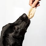 Kito Kurutulmuş Kuzu Kulak Çiğnemelik Köpek Ödül Maması %100 Doğal, Glutensiz, Organik 100 gr
