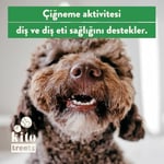 Kito Kurutulmuş Kuzu Kulak Çiğnemelik Köpek Ödül Maması %100 Doğal, Glutensiz, Organik 100 gr