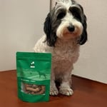 Kito Tavuk Boyun Çiğnemelik Köpek Ödül Maması%100 Doğal, Glutensiz, Organik 100 gr (Dog Treat)
