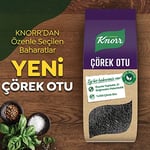 Knorr Baharat Serisi Çörek Otu 60 g
