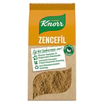 Knorr Baharat Serisi Zencefil 50 g