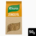 Knorr Baharat Serisi Zencefil 50 g