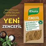Knorr Baharat Serisi Zencefil 50 g