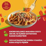 Knorr Bolonez Makarna Sosu 45g