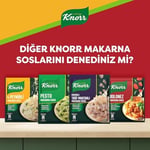 Knorr Bolonez Makarna Sosu 45g
