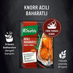 Knorr Çeşni Acılı Baharatlı Çeşnile Fırınla 31 g