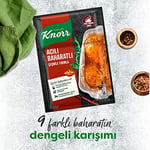 Knorr Çeşni Acılı Baharatlı Çeşnile Fırınla 31 g