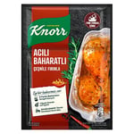 Knorr Çeşni Acılı Baharatlı Çeşnile Fırınla 31 g