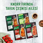 Knorr Çeşni Kekikli Susamlı Fesleğenli Çeşnile Fırınla 29 g