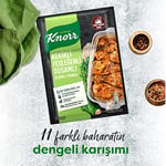 Knorr Çeşni Kekikli Susamlı Fesleğenli Çeşnile Fırınla 29 g