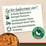 Knorr Kajun Patates Çeşnisi 60 gr (2 paketi)