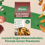 Knorr Kajun Patates Çeşnisi 60 gr (2 paketi)