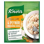Knorr Makarna Sosu İtalyan Usulü 4 Peynirli 50 g