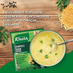 Knorr Şehriyeli Tavuk Çorbası, 51 g, 3'lü