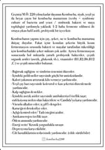 KOMBUCHA 2200 ANANAS-HİBİSKUS 330 ML. 6'LI PAKET (ANANAS-HİBİSKUS 330 ml.)