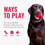 Kong 6.5 cm S Extreme Top Köpek Oyuncağı