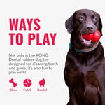 Kong Dental Köpekler İçin Çift Ekstra Çiğneme Oyuncak - Kırmızı
